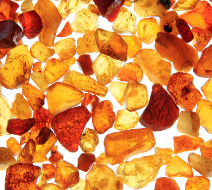 Baltic Amber Stone: A Beautiful Addition to Your Jewelry Collection